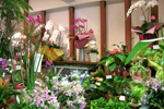 花 花屋 花束 アレンジメント カサブランカ