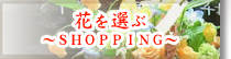 �ԑ��v���[���g�@�t�����[�M�t�g�@�A�����W�����g�@���É��s�@�����@�Ԃ��񂶂ウ��@�Ԃ�I�ԁ`SHOPPING�`