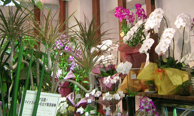 花 花屋 花束 アレンジメント カサブランカ